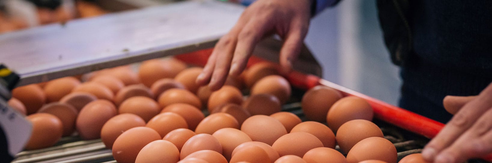 Our Stockists The Cheshire Egg Co Cheshire
